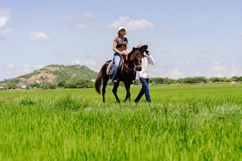 Siem Reap: Private Horseback & Horse-Drawn Carriage Rides (1 hour) Horseback Ride