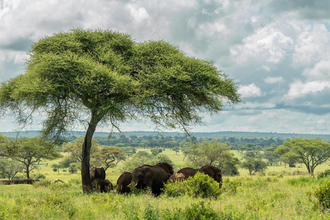 Sansibar: 4-tägige Safari-Reise zum atemberaubenden NatronseeAtemberaubende Lake Natron Safari Reise - Komfortable Unterkunft