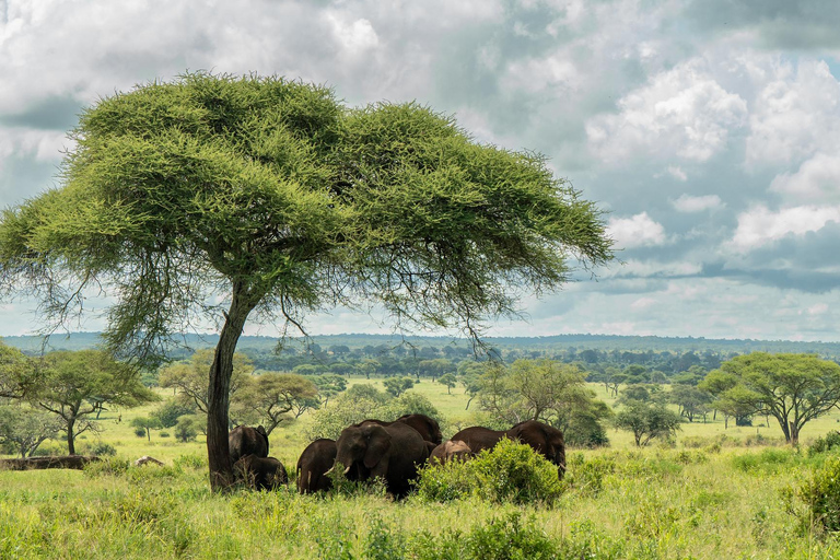 Sansibar: 4-tägige Safari-Reise zum atemberaubenden NatronseeAtemberaubende Lake Natron Safari Reise - Komfortable Unterkunft
