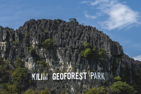 Langkawi: Sharing Mangrove Boat Tour 4 Hours