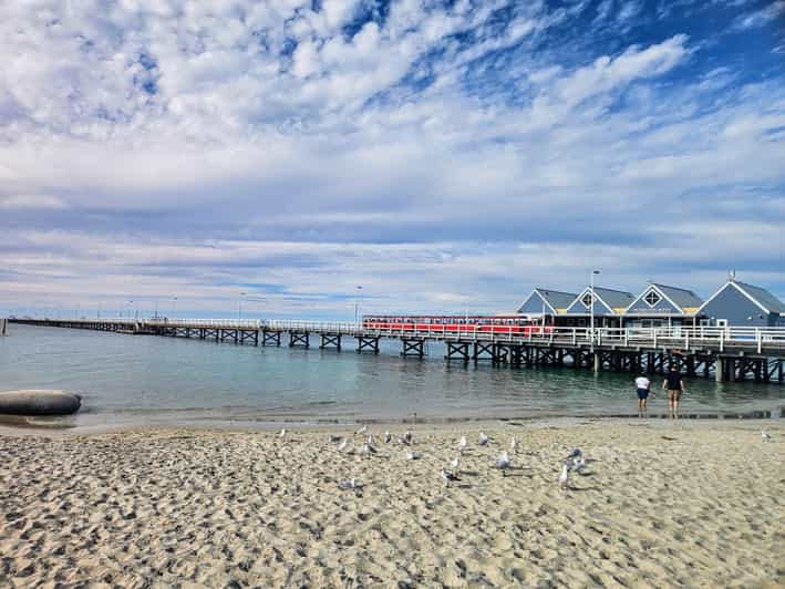 Perth: Busselton Jetty Full - Day Guided Tour