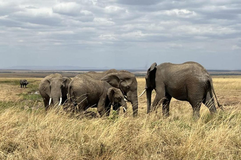 De Nairobi Safari: 4 dias em Maasai Mara e Lago Nakuru