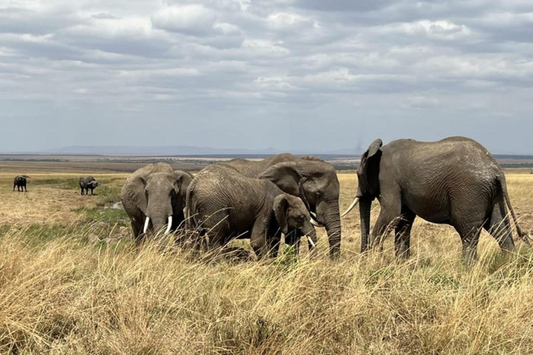 From Nairobi Safari: 4-Day Maasai Mara and Lake Nakuru