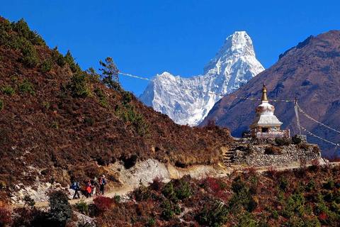 Trek du service du camp de base de l'Everest