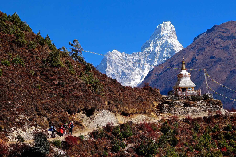 Trek du service des trois hauts cols de l'Everest