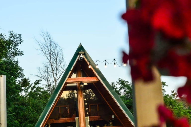 Bucharest: Transylvania Castles Tour with Dinner