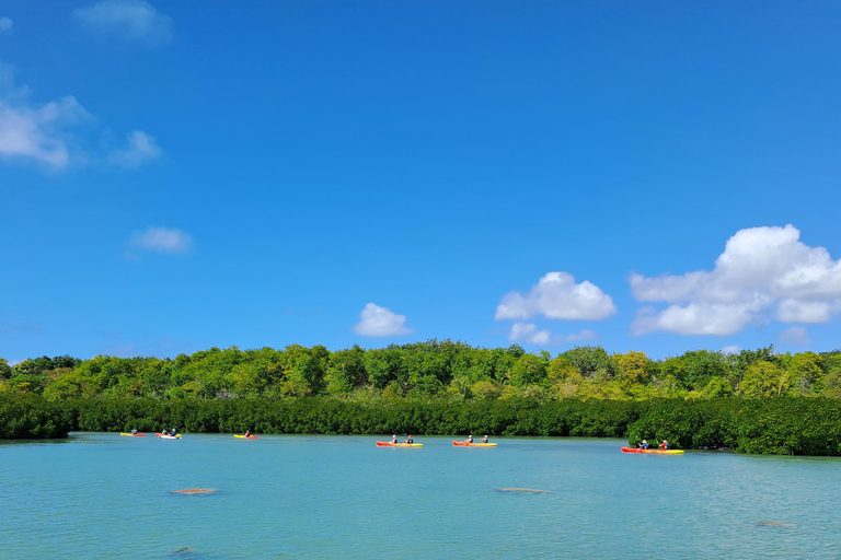 Ile d Ambre Kayakkayak en el Parque Nacional de Ile d Ambre