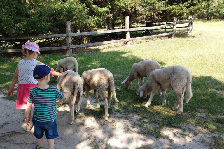 From Vienna: Bratislava & Countryside Guided Half Day Tour Private Tour