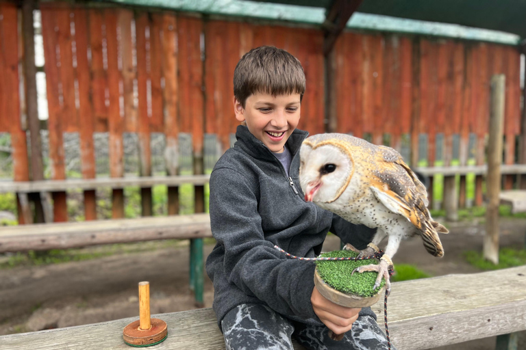 Cape Town: Stellenbosch Guided Walk with Wine Tasting