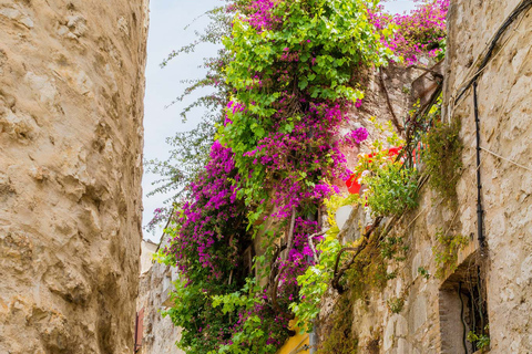 Journée en Provence, Saint-Tropez Village de Grimaud Dégustation de vinsvisite partagée : Saint Tropez, village de Grimaud, dégustation de vins.