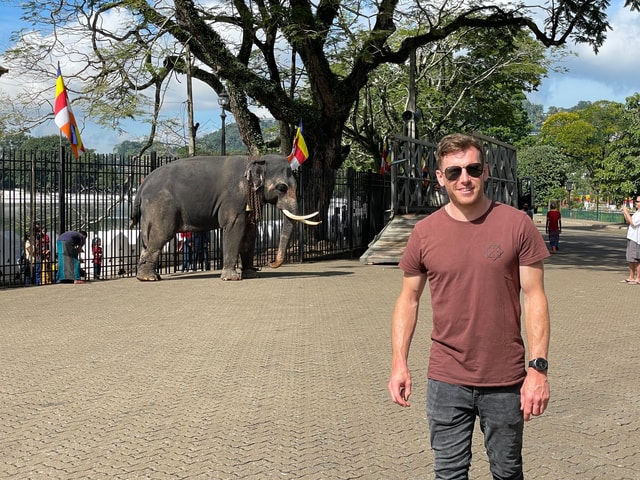 Pinnawala & Kandy Day Tour from Negombo