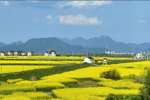 Shanghai: Tongzhou River Island & Fruit Picking Day Trip