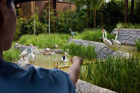 Singapore: Bird Paradise Entry Ticket with Hotel Transfer