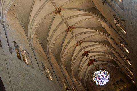 From Barcelona: Girona Guided Day Trip with Cathedral Entry Girona Walking Tour & Cathedral Entry