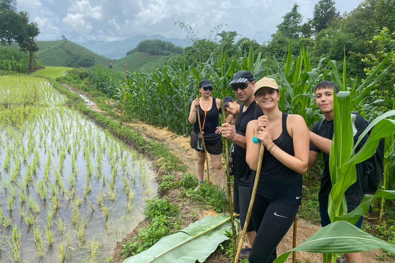 1 Day trekking : Chiang Rai popular activity,Fun in Nature.