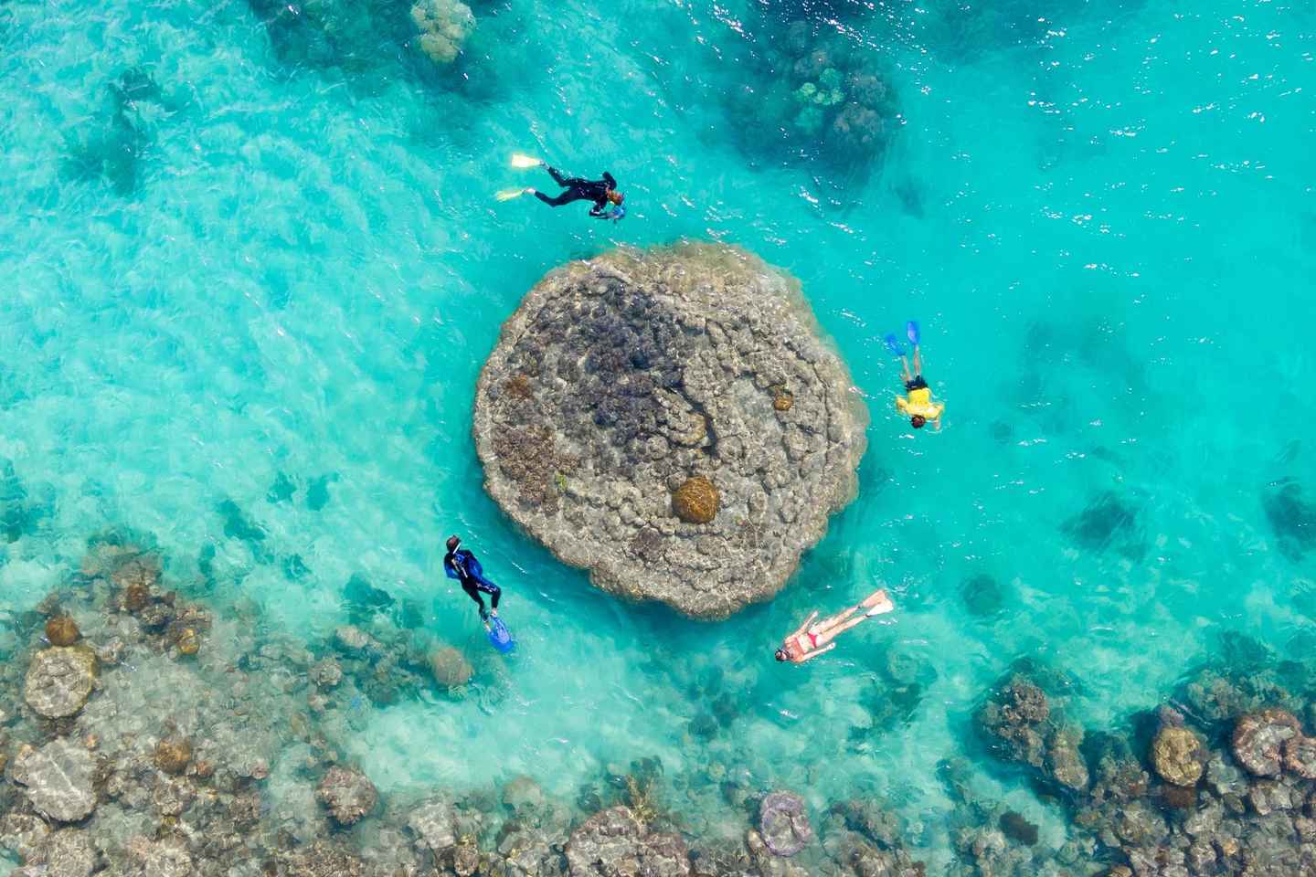 Hamilton Island: Half Day Reef & Snorkel Adventure Splash - Hamilton Island: PM Half Day Reef & Snorkel Adventure Splash