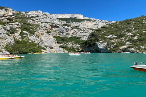 Day Trip: Lavender Fields & Gorges du Verdon LICENSED GUIDE + MERCEDES V