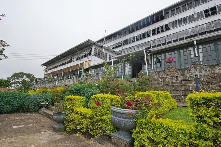 Lipton's Seat and Tea Factory & Tea Plantation Tagestour