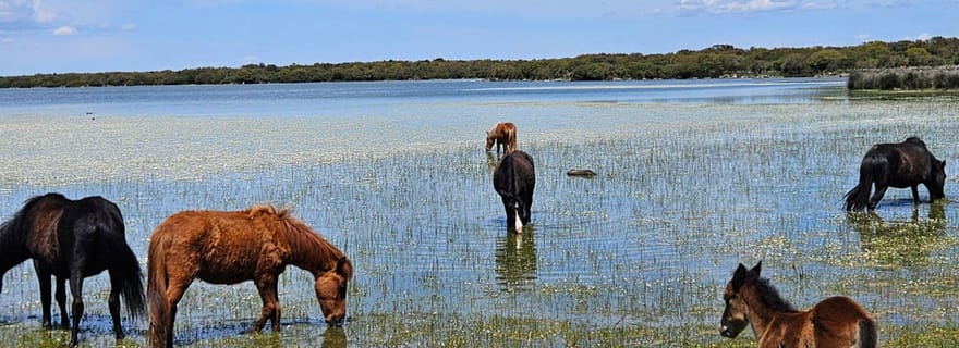 Au départ de Tuili : trek dans le parc de la Giara