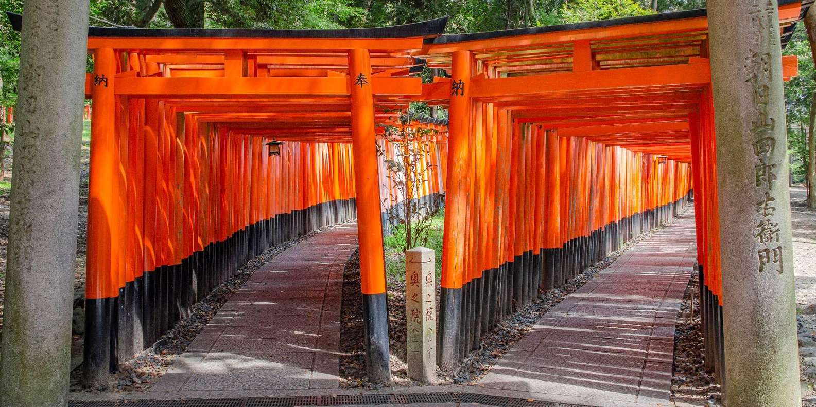Kyoto experience — temples, geisha, bamboo grove — image 31