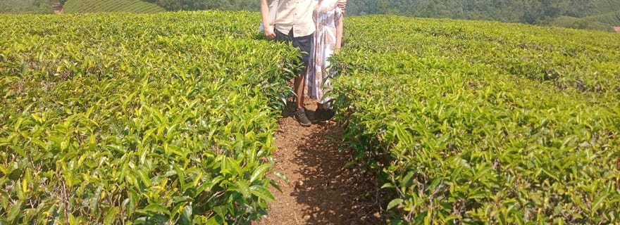 Randonnée en montagne à Munnar (demi-journée)