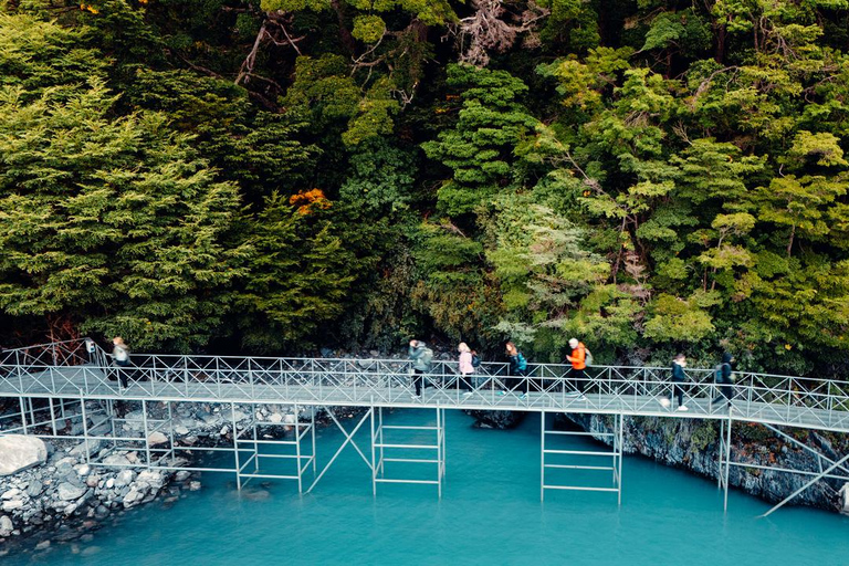 El Calafate: All Glaciers Cruise Tour l Spegazzini & Upsala Entry ticket with Transportation