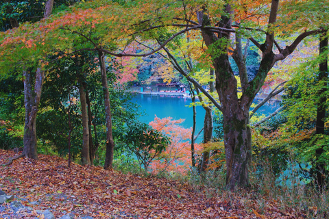 Osaka: Amanohashidate, Ine Boat Houses & Miyama Day Trip 1:Tango Amanohashidate + Ine + Miyama（Snacks for Seagulls）