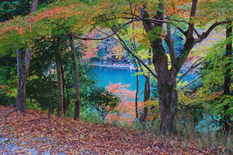 Osaka: Amanohashidate, Ine Boat Houses & Miyama Day Trip 1:Tango Amanohashidate + Ine + Miyama（Snacks for Seagulls）