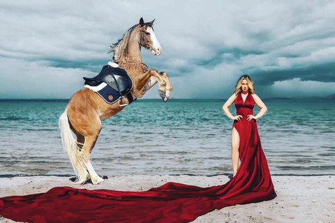 الغردقة: جولة ركوب الخيل في الصحراء والبحر مع خيار السباحةجولة لمدة ساعتين لركوب الخيل بدون السباح