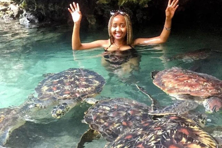 Zanzibar: Salam Cave Turtles & Blue Lagoon with Starfish Private tour with hotel transfer anywhere in Zanzibar.