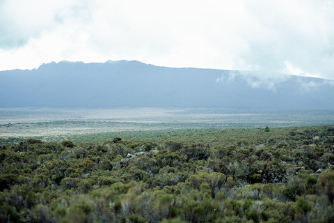 Moshi: Mount Kilimanjaro Day Trip – Marangu Route Day Hike