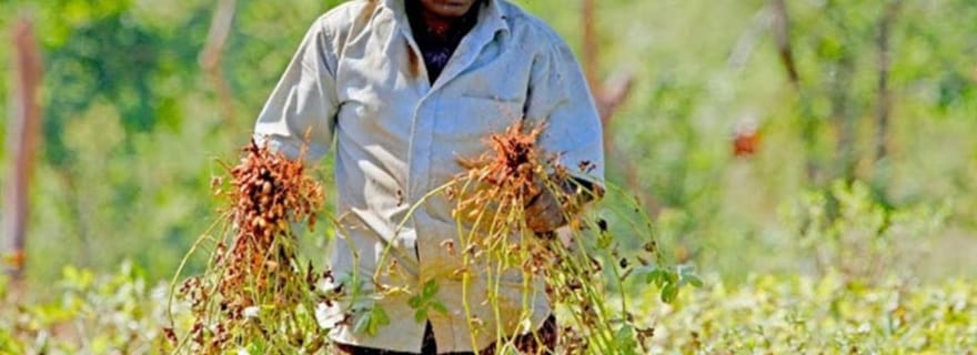 Expédition dans les villages de Yala depuis le port de Hambantota en tuk-tuk