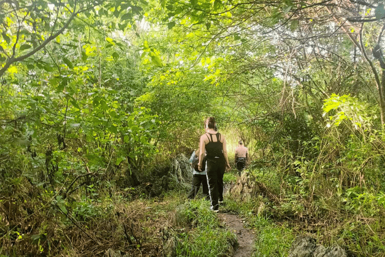 Mt. Kulis, Tanay, Rizal: Dagwandeling en landschappelijk avontuur