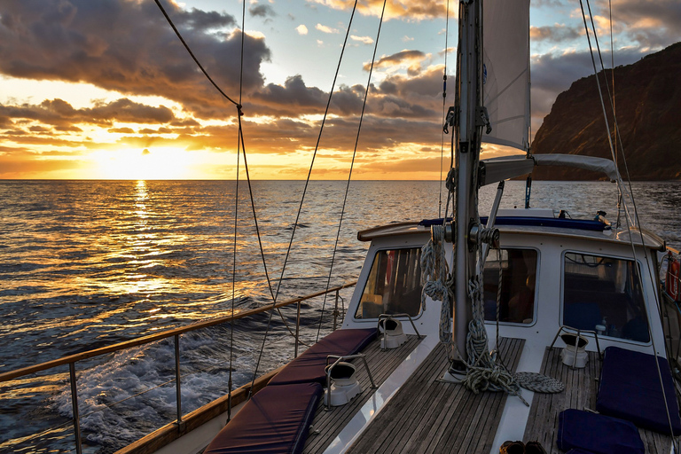 Funchal: dolfijnen en walvissen spotten bij zonsondergang