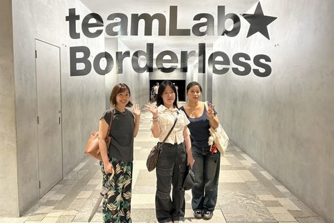 Tokyo: TeamLab Borderless & Roppongi Art Architecture Tour