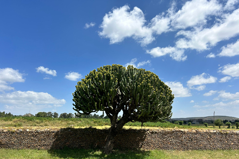 3 Tage Axum (Aksum), Yeha-Tempel und Umgebung Tour.