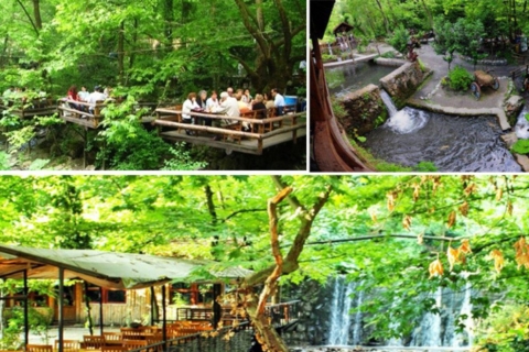 From Istanbul: Sapanca and Masukiye Day Trip with Lunch
