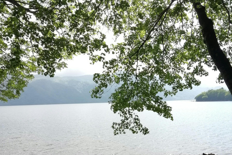 L&#039;avventura d&#039;élite di Nikko: Tour guidato privato