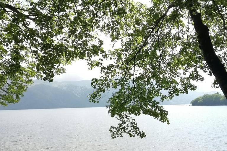 L&#039;avventura d&#039;élite di Nikko: Tour guidato privato