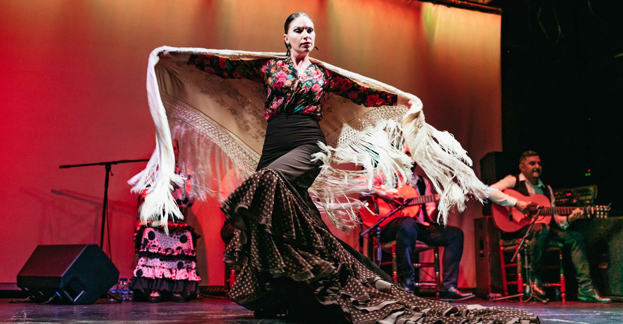 Barcelona: Flamenco Show at the Theater photo 9