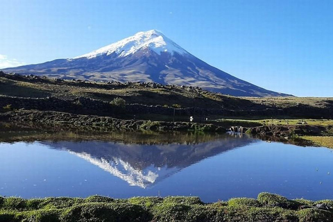 De Quito: Excursão ao vulcão Cotopaxi e à lagoa Limpiopungo