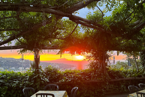 Sorrento: Walking Tour in Lemon Garden w/ Food Tasting