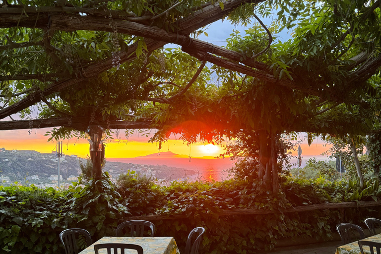 Sorrento: Walking Tour in Lemon Garden w/ Food Tasting