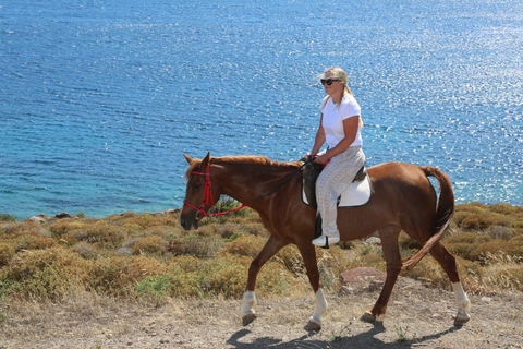 Bodrum: Horse Riding Experience with Forest or Seaside Route Seaside Horse Riding Tour (2 Hours – Beach Route)