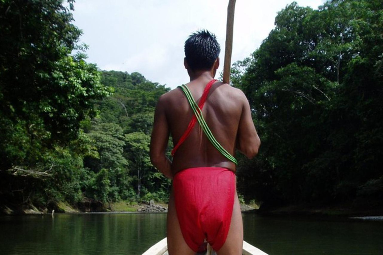 Panama City: Tour notturno del villaggio di Emberá