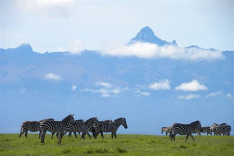 From Nairobi: Ol Pejeta Conservancy Day Trip with Game Drive