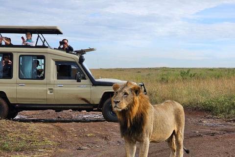 Nairobi: National Park, Karen Blixen Museum & Beads Safari