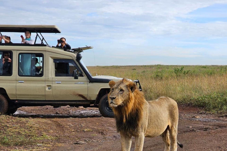Nairobi: National Park, Karen Blixen Museum & Beads Safari
