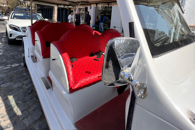 Tbilisi: tour met elektrische auto en kabelbaan met gids