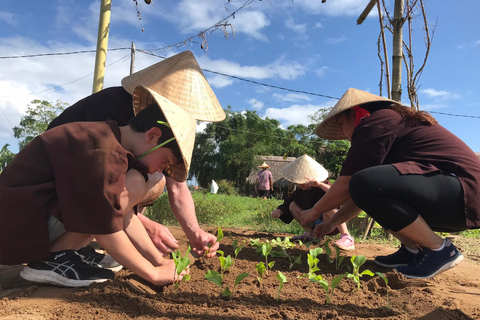 Cultivando con agricultores en la antigua aldea vegetal "Tra Que"